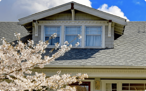 Soft Wash Roof Cleaning Near Me