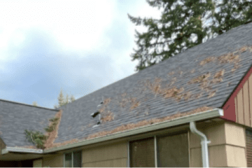Gig Harbor Gutter Cleaning