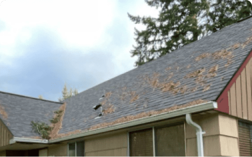 Gig Harbor Gutter Cleaning