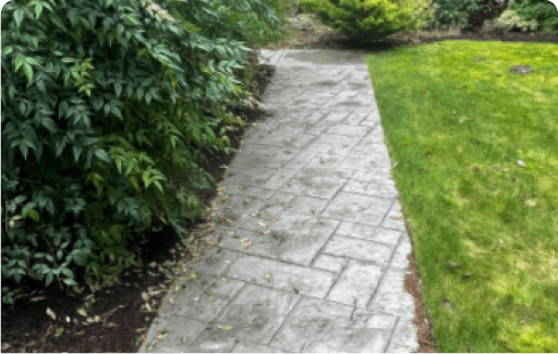Driveway Cleaning Service