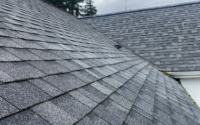 Roof Washing Services