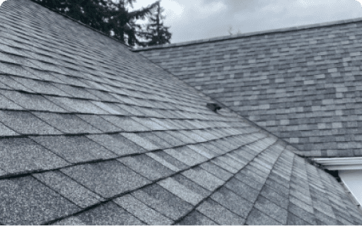 Roof Cleaning Services