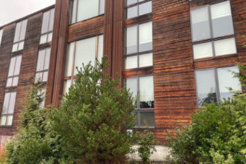 Brick Pressure Washing