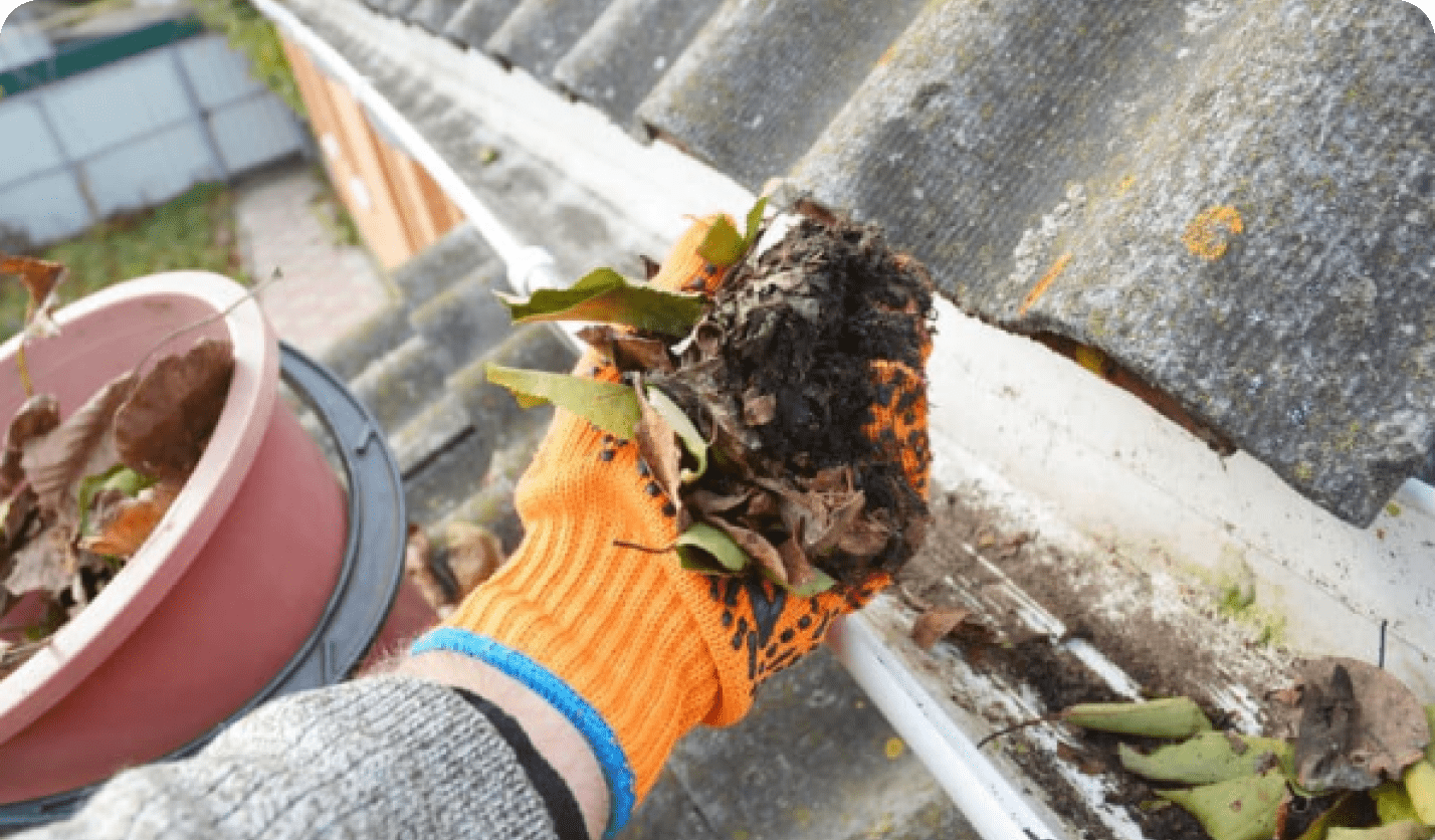 Gig Harbor Gutter Cleaning