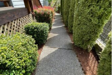 Driveway Cleaning Service