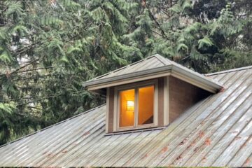 Roof Washing Companies