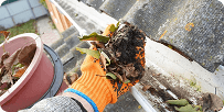 gutter-cleaning
