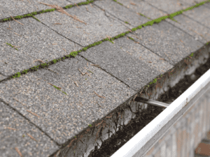 Why Early Spring Cleaning for Your Home’s Exterior Saves You Time & Money