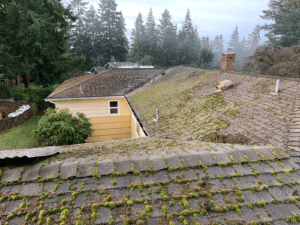 Why Early Spring Cleaning for Your Home’s Exterior Saves You Time & Money