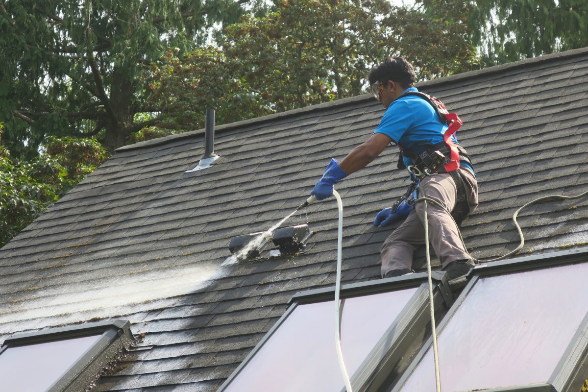 541ff65c01952a2ab8683c047c27e9257689a7c2