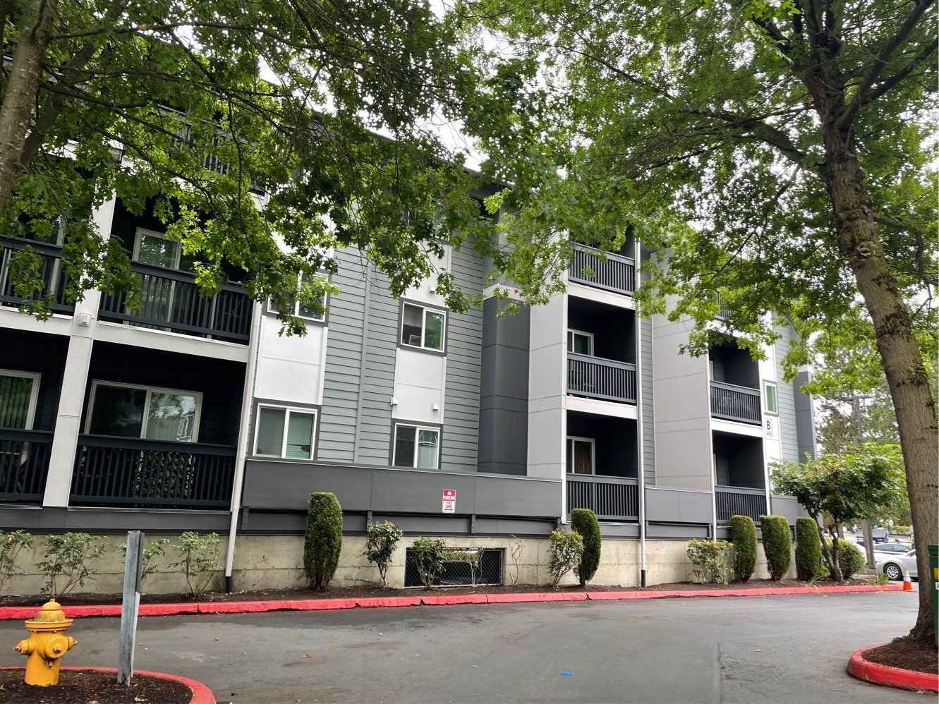 attachment_225952735_24124