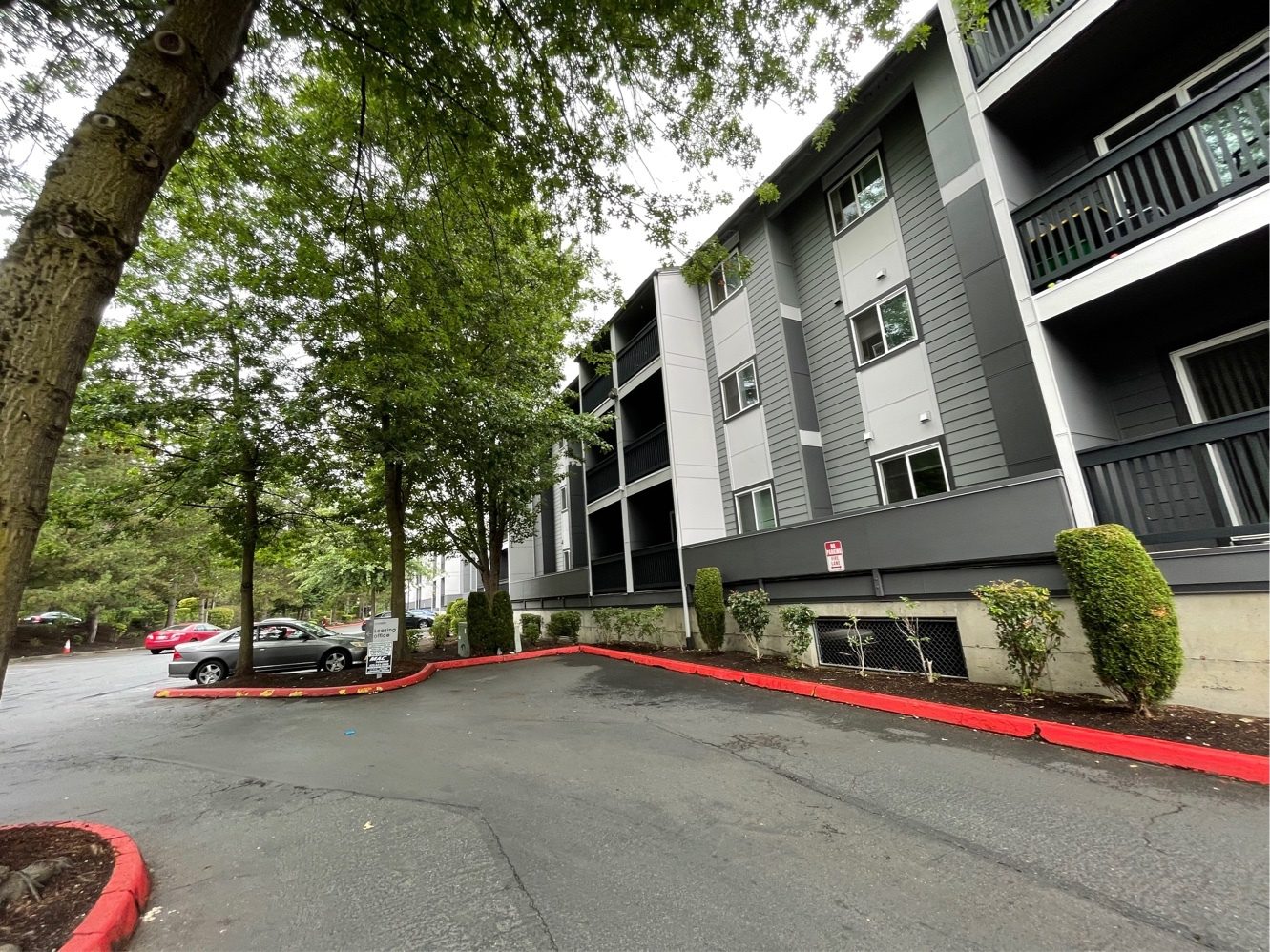 attachment_225952735_24126