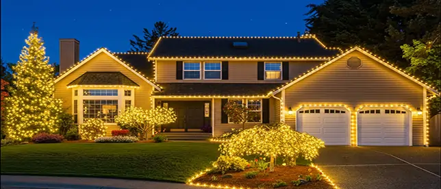 Christmas Installation 1