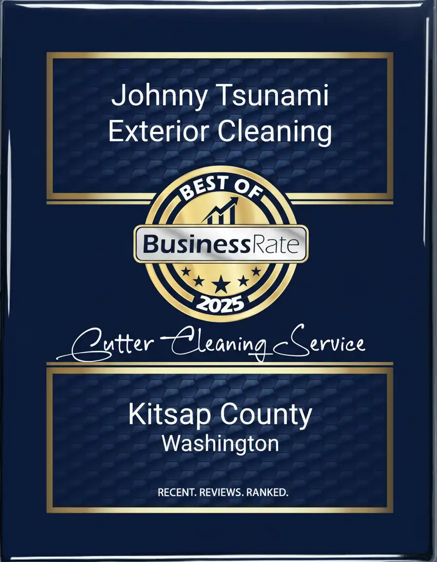 Johnny-Tsunami-Award-Kitsap-Washington