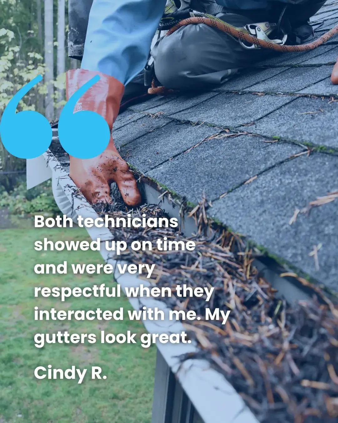 Hang Ten Newsletter Review 2